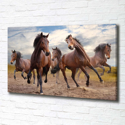 Five Horses - Wrapped Canvas Print