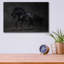 «Onyx» par PhotoINC Studio-567545986