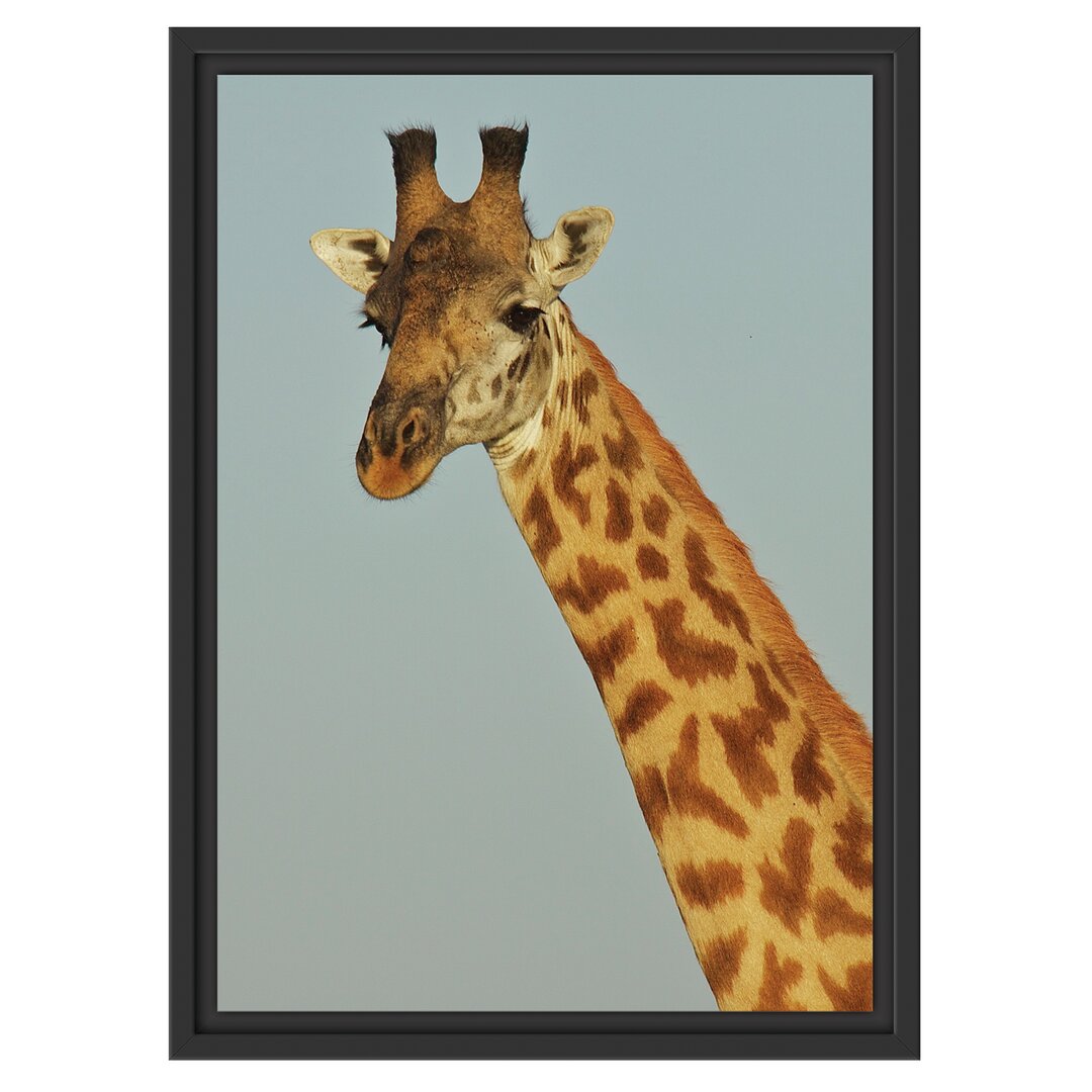 Gerahmtes Wandbild majestätische Giraffe