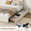 Structure de lit grand format, lit plateforme avec rangement en velours avec 4 tiroirs, support de lattes en bois, aucun sommier requis, assemblage facile, beige-1057606597
