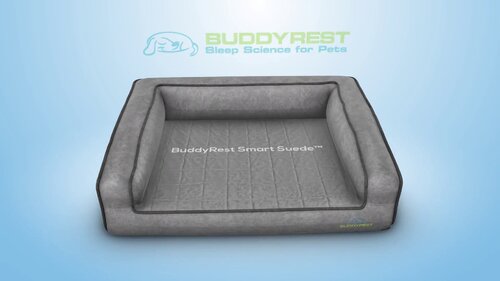 buddyrest reviews