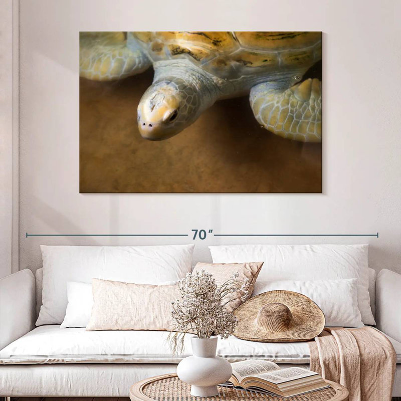 Grande tortue Brampt, H 32 po x l 48 po