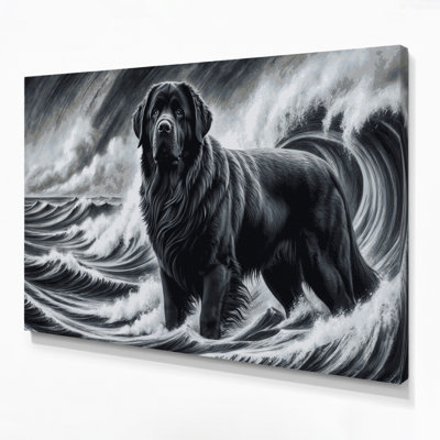 Dogs Newfoundland Black Canvas Wall Art
