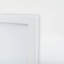 White Horse Animals Nature - Single Picture Frame Print-922887272-922887269
