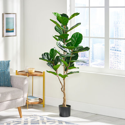 150Cm Artificial Fiddle Leaf Fig - For A Charming Decoration, Low Maintenance, , 24In W X D 59In H, Iron + Plastic Plant Chic Home Decor, , Easy Care, 24 59,