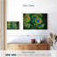 Crowle - Plumes de paon brillantes-111859618