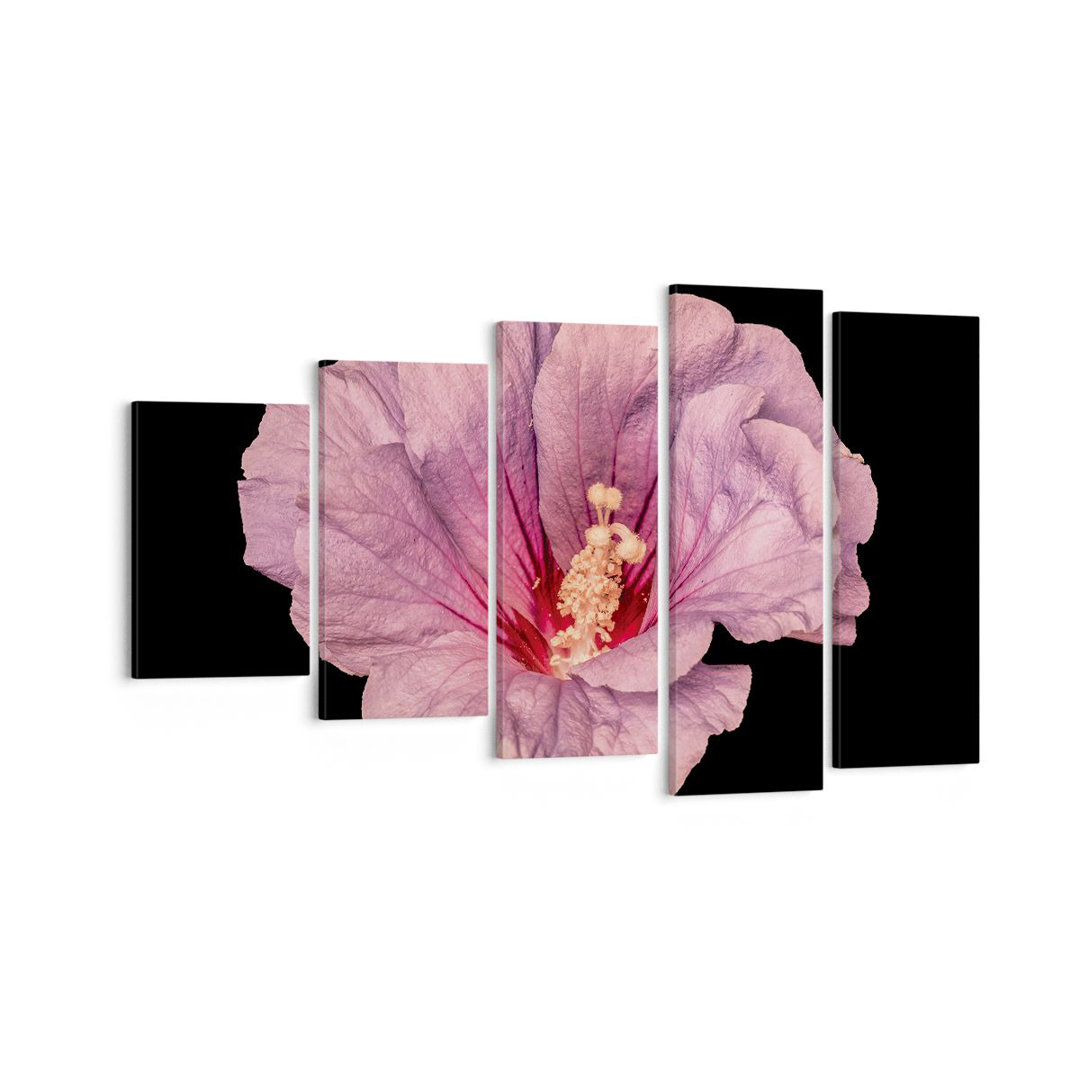 5-tlg. Leinwandbilder-Set Hibiscus Flower Pink