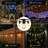 Premium Solar String Light