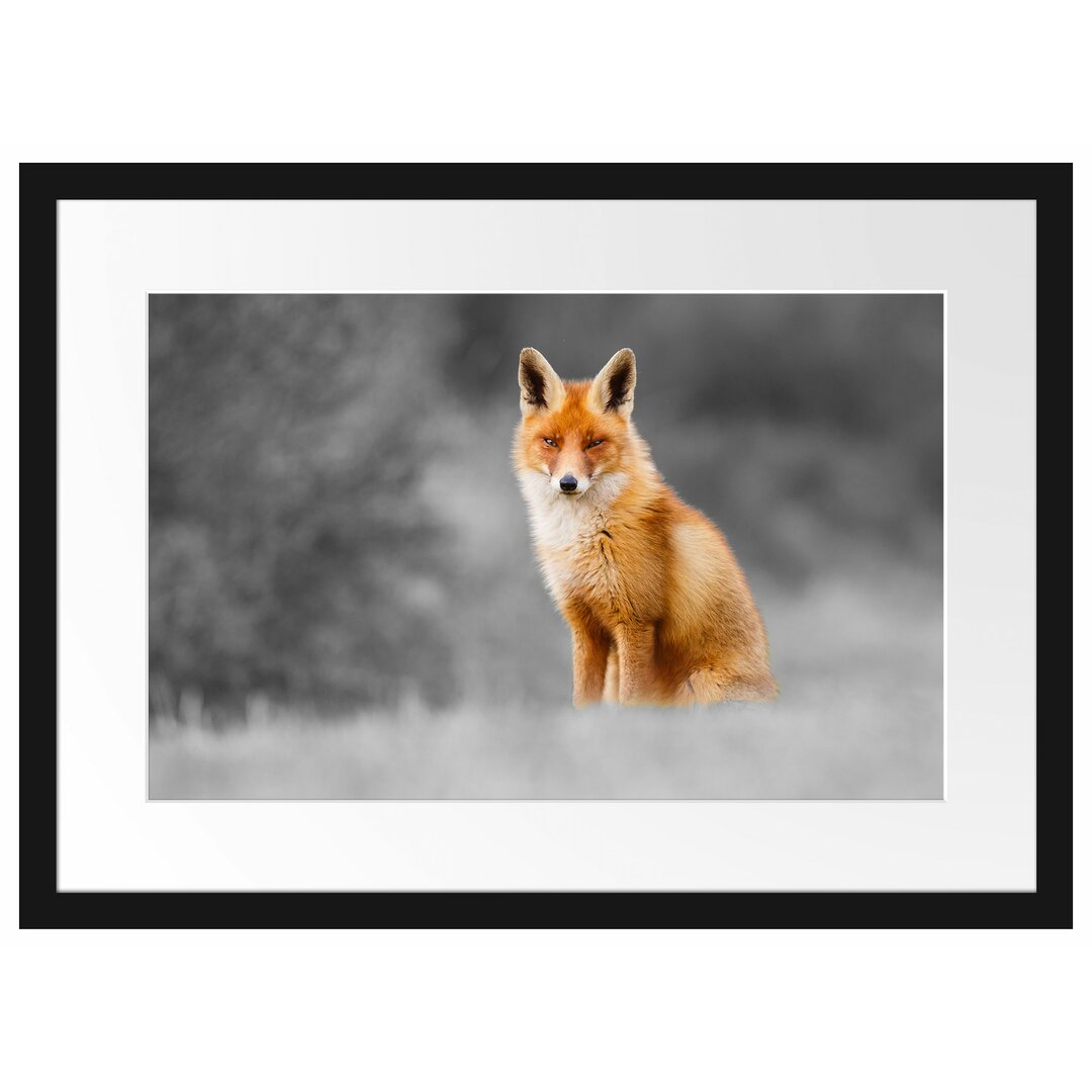 Gerahmtes Poster Magnificent Fox