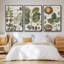 Ensemble de 3 cadres photo sur toile Antique Foliage and Fruit VI-97759108-97759109