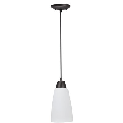 1-Light Hanging Socket Mini Pendant Kit