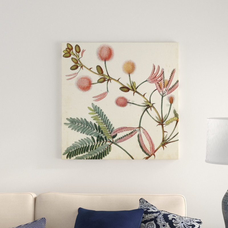 «Garden Bounty IV», peinture sur toile, H 30 po x l 30 po