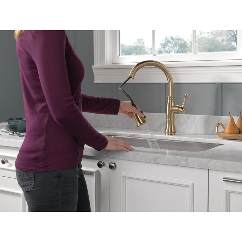 Robinet de cuisine Cassidy Gold, robinets de cuisine avec douchette rétractable, robinet d'évier de cuisine, robinet d'or pour évier de cuisine avec support magnétique, bronze champagne Lumicoat