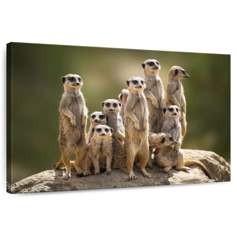 Meerkat Family, 30" H x 45" W