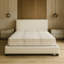 Buona Notte-12839146