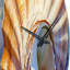 Horloge murale Coastal Seashell I-93379543