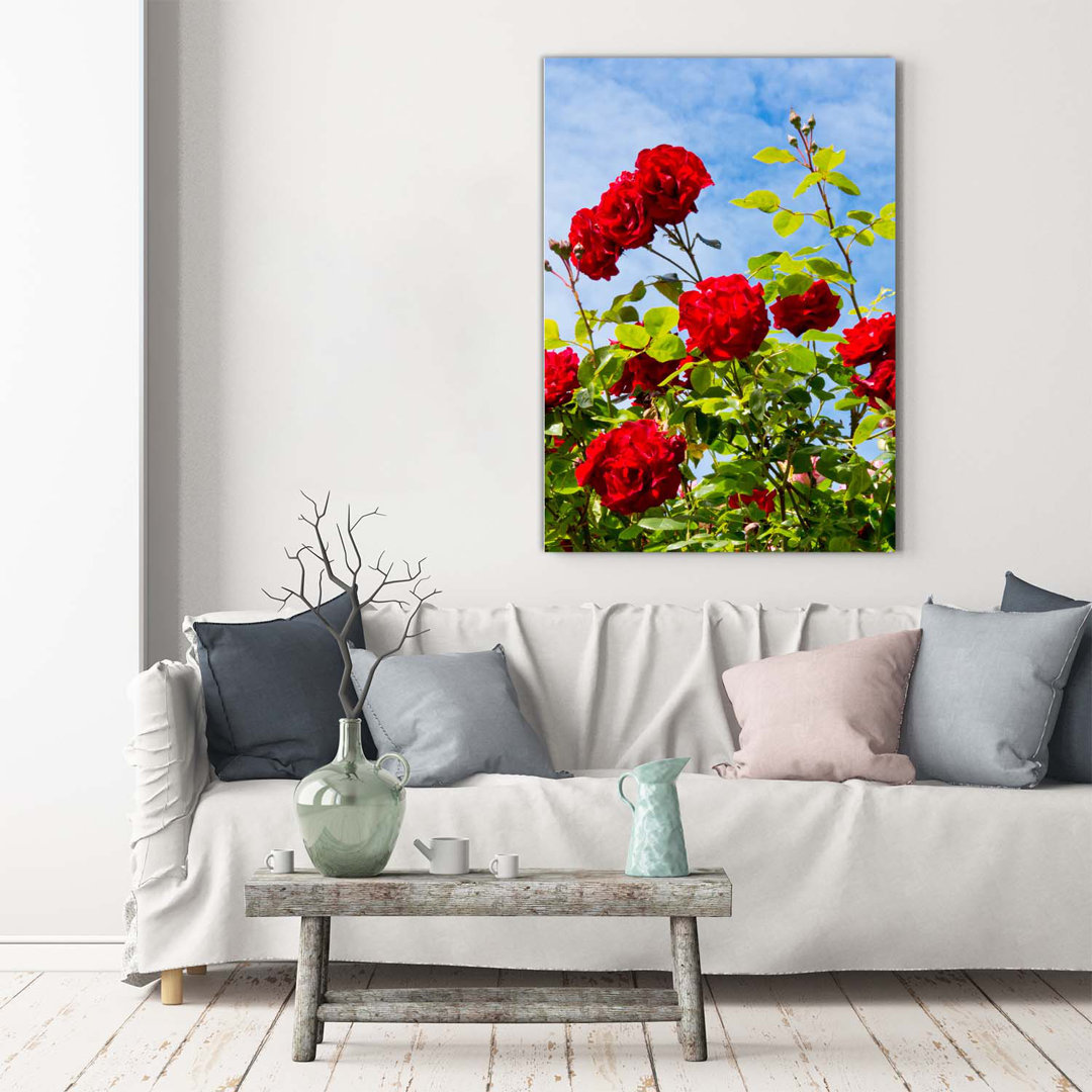 Wild Rose - Kunstdrucke auf Leinwand - Wrapped Canvas