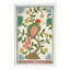 Pink Throated Thrush Print by Dana Gibson-459717371-459717316