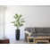 Artificial Palm Tree In A Square Beige Fiberstone Planter