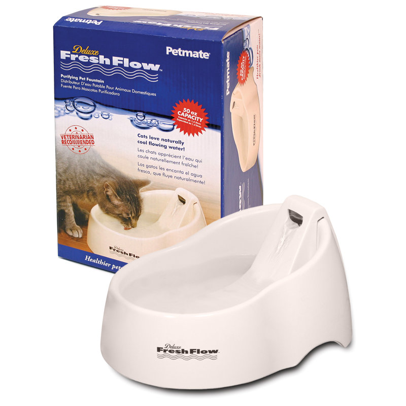 Elevated Feeder