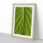 Leaf Pathways - Picture Frame Painting Print-55581492-55581496