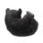 Baby Black Bear Lying