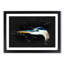 Heron Portrait - Picture Frame Graphic Art Print-56863494-56863498
