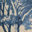 Toile Square Pillow Cover & Insert-766502850-766502848