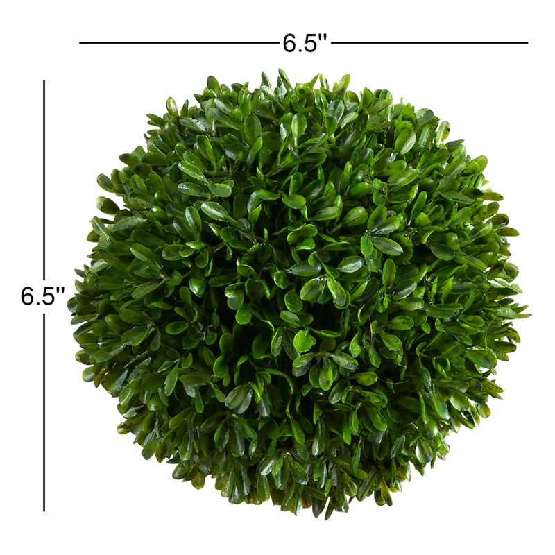 Nigel 6.5'' Boxwood Topiary