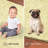 Furnish My Place Modern Plush Pet and Kids Friendly Solid Color Yellow Area Rugs, Stain & Fade Resistance, Perfect for Living Room, Dining Room, Bedroom, Playroom and Kidsroom, Event, Wedding Rug-368709483