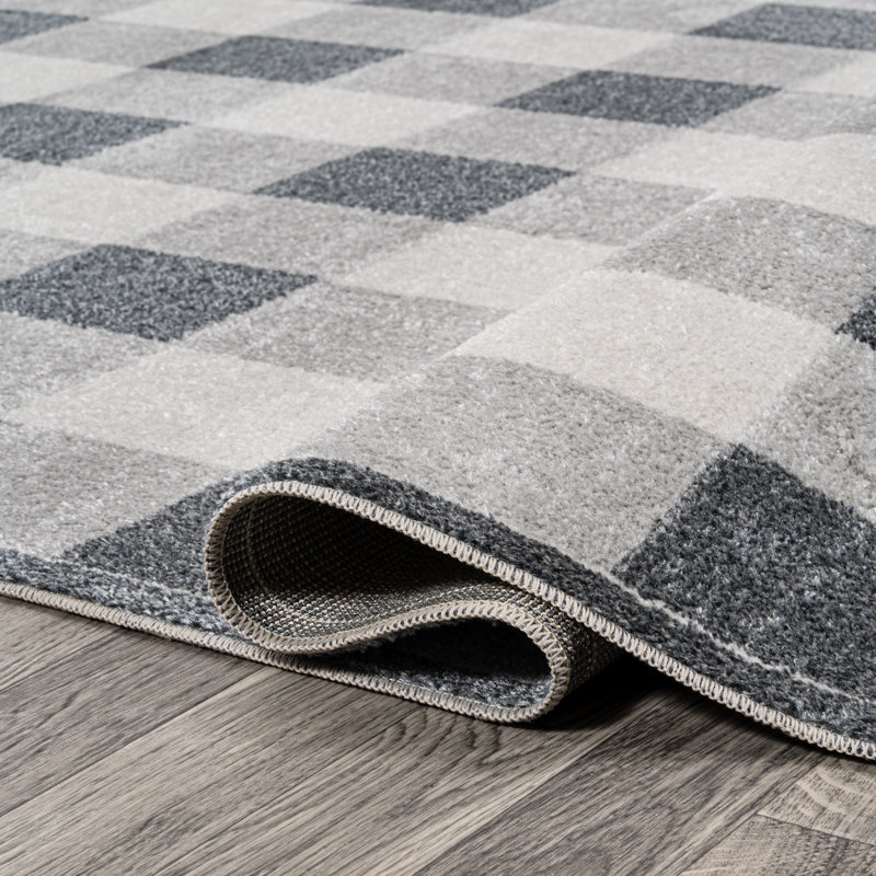 Romaeo Gingham Gradient Plaid Cottage Machine-Washable Light Gray/Dark Gray/Cream Rug, Rectangle 5'3" x 7'7"