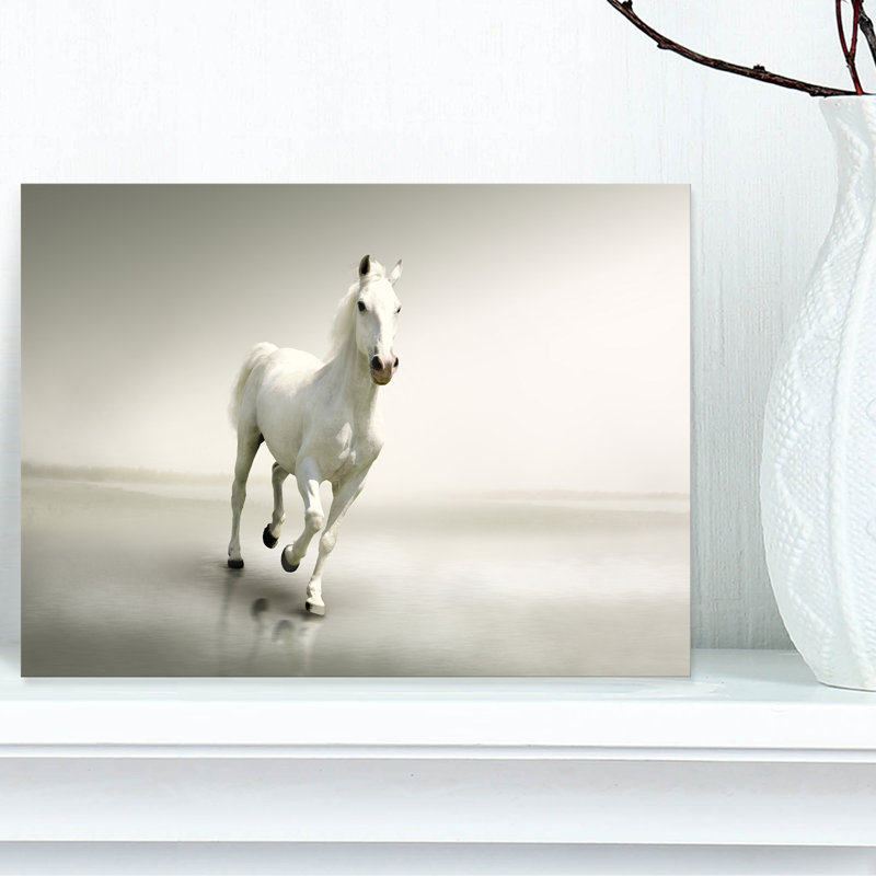 Magnifique cheval blanc qui court - impression sur toile tendue, H 8 po x l 12 po