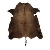 Rug & Kilim’S American Bison Hide Fur Rug In Chocolate Brown Tones