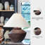 Lampe de table Honsworth