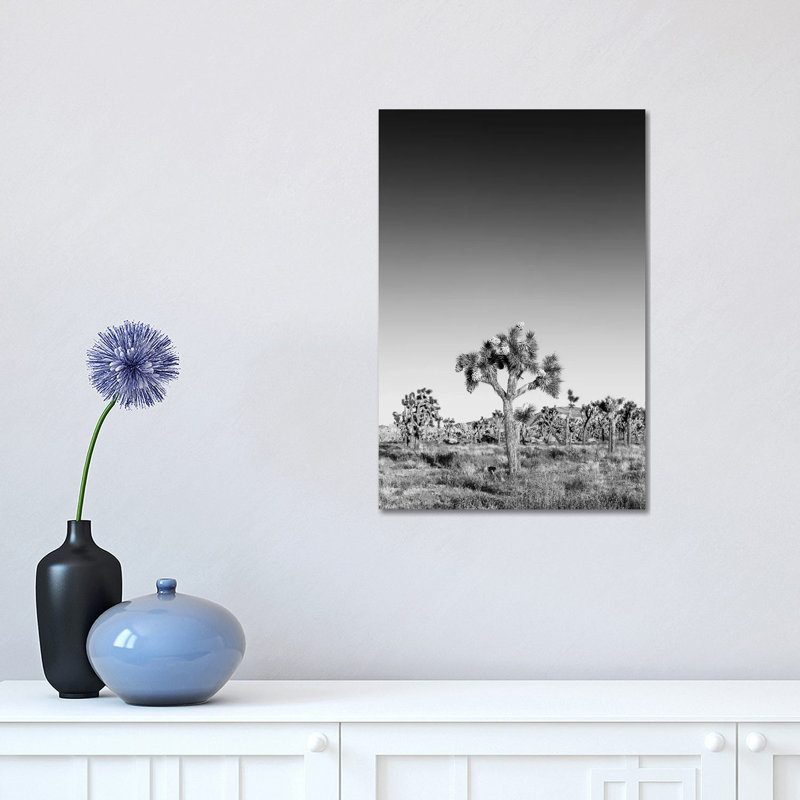 Joshua Trees Monochrome by Melanie Viola - Print on Canvas, Wrapped Canvas, 45.72cm H x 30.48cm W x 1.91cm D