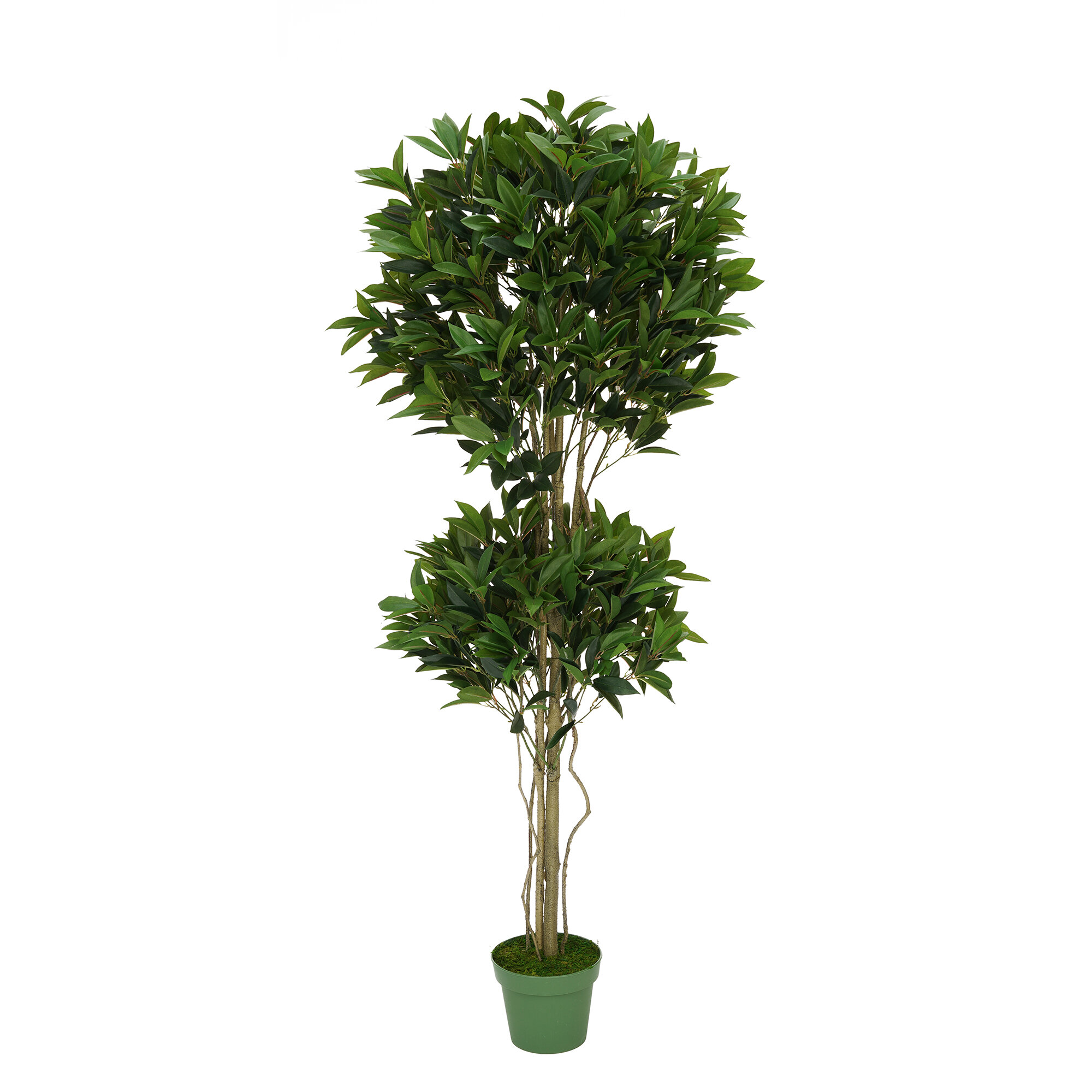 Primrue 57'' Artificial Foliage Tree in Pot Liner | Wayfair