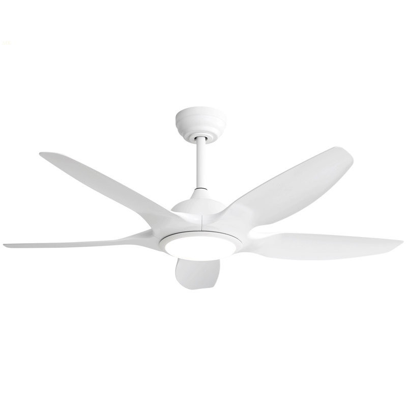 48 Inch Ceiling Fan With Dimmable LED Light And Remote Control, 5 ABS Blades DC Motor White, White