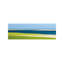 Cape Cod Low Tide by Katherine Gendreau - Wrapped Canvas Panoramic Print-2013279861