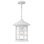 Freeport 1 Light Outdoor Hanging Lantern