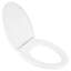 Transitional Elongated Closed Front Toilet Seat
