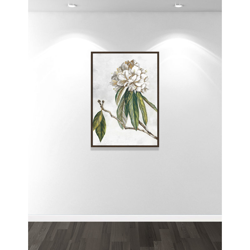 «Pearly Beauty II» par Eva Watts, Grain de bois noyer, L 29,5 po x H 41,5 po, Impression encadrée