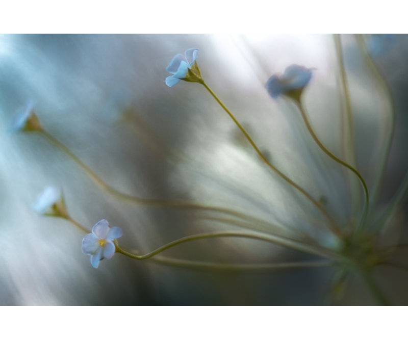 Wrapped Canvas Print, 81.28 cm H x 121.92 cm W
