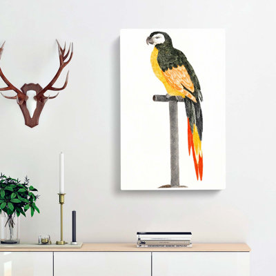 A Perched Parrot by Johan Teyler - Wrapped Canvas
