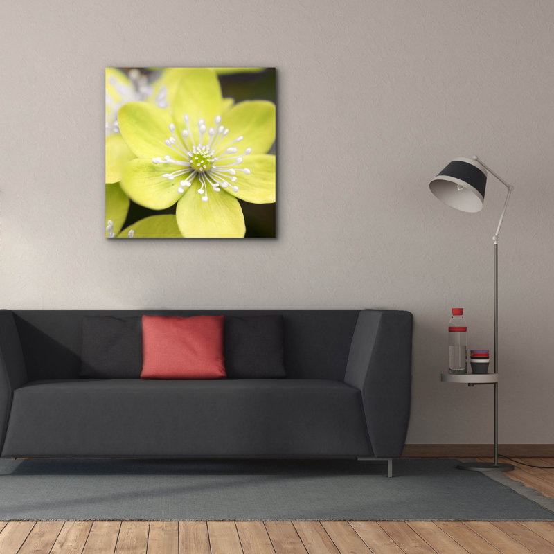 «Yellow Blossom» par PhotoINC Studio, H 37 po x l 37 po x P 1,5 po