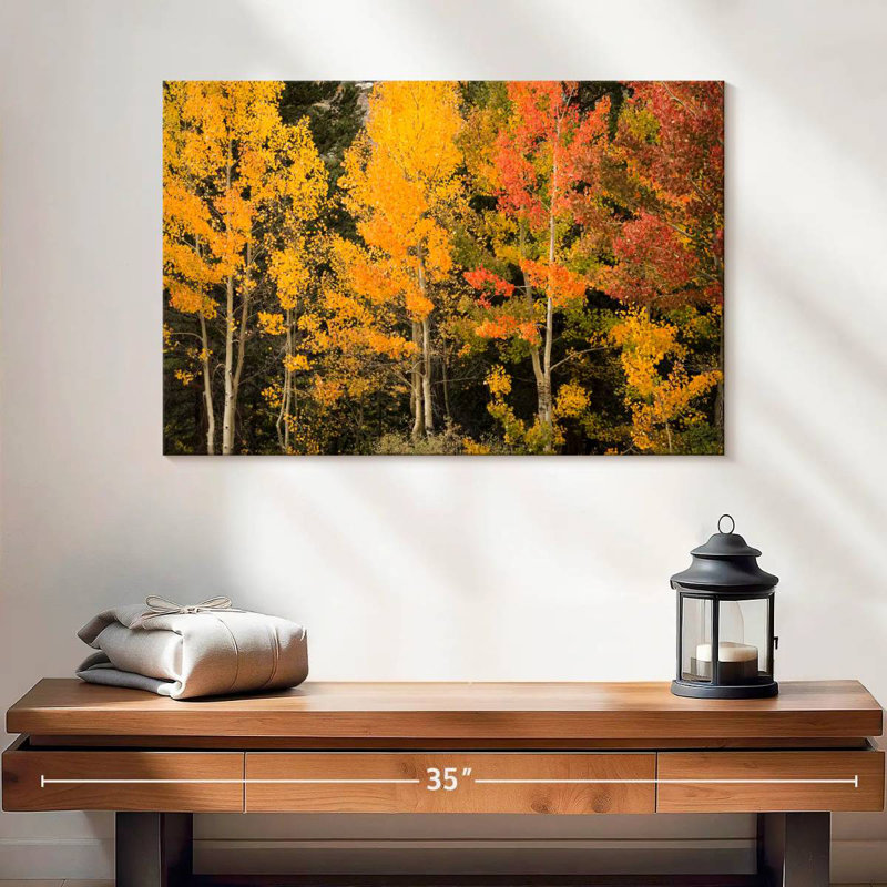Harnek Aspen aux teintes d'automne, H 16 po x l 24 po