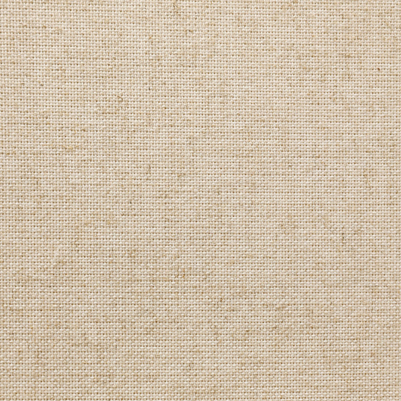 Raynor Upholstered Dining Chair