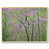 Gold Floater Framed Canvas