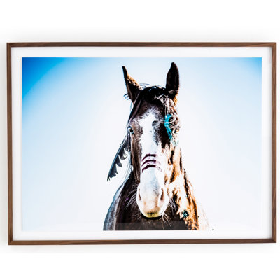 War Horse Print
