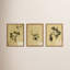 Petite Study Triptych Painting by Hannah Winters-1295908821