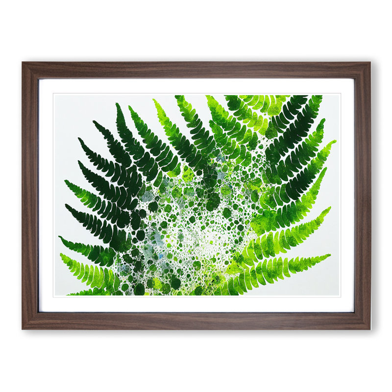 Fern Leaf Splash Vol.2 - Framed Print, 25cm H x 34cm W x 2cm D, Walnut